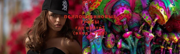 дживик Переславль-Залесский
