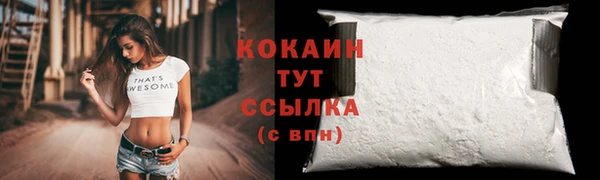 бошки Пересвет