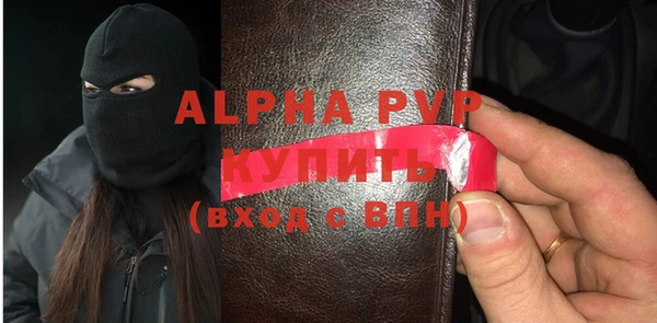 бошки Пересвет