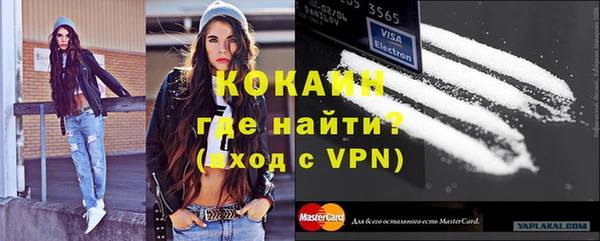 бошки Пересвет