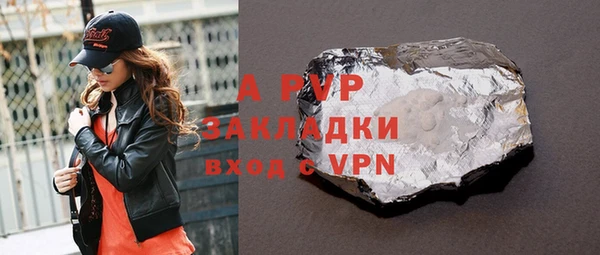 бошки Пересвет