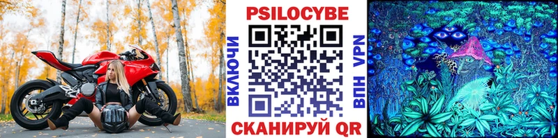 Галлюциногенные грибы мухоморы  цены наркотик  Сокол 